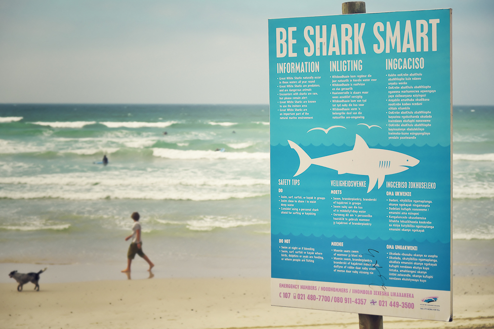 Be Shark smart