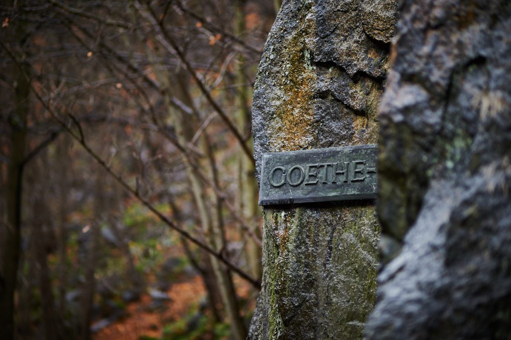 Zeiss Milvus 2 100m Ein Blick Qimago